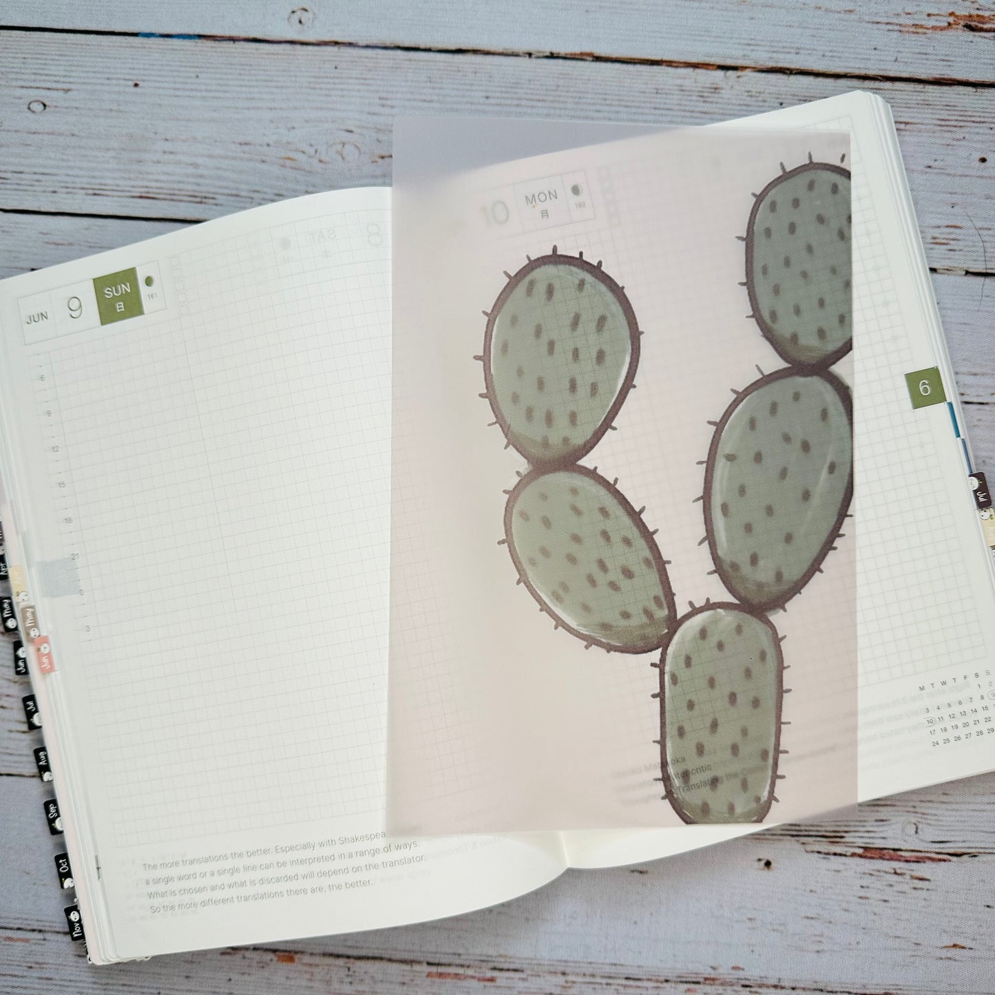 Prickly Palette Vellum