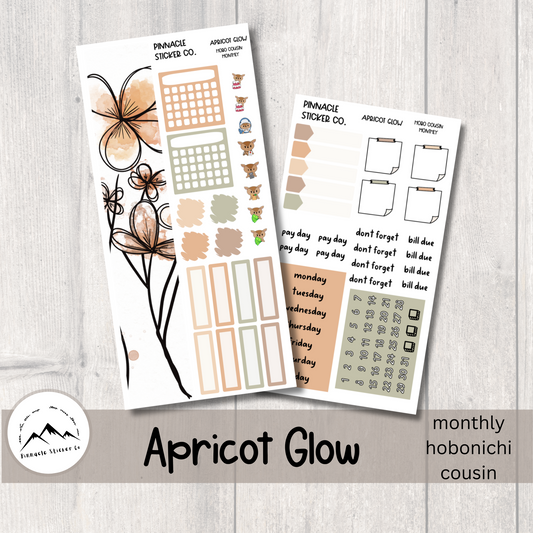 Apricot Glow Hobonichi Cousin Monthly Kit Planner Stickers